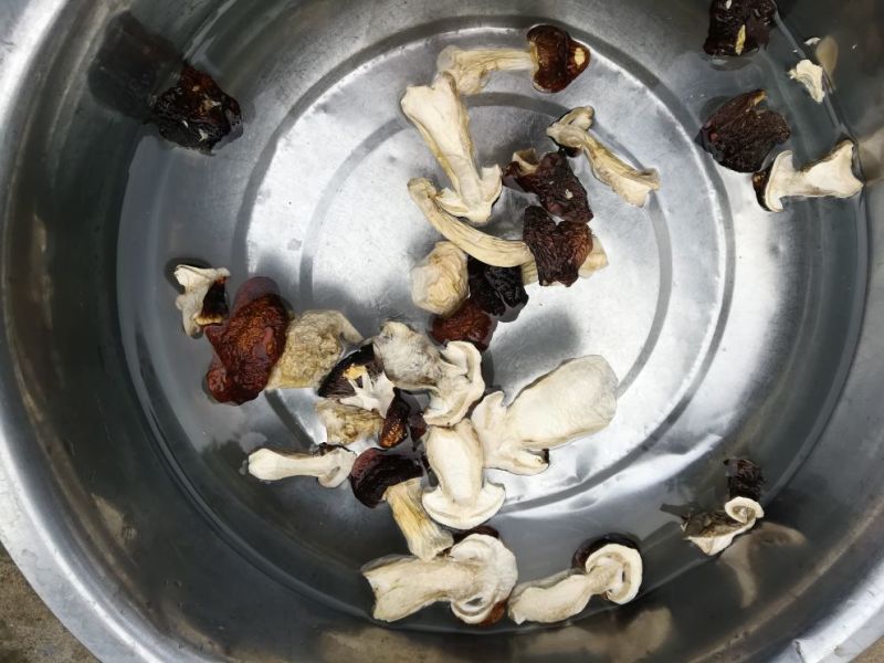 食用菌，蘑菇干，干蘑菇，野生菌，赤松茸干货