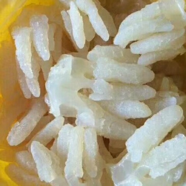 海蜇食用鲜活