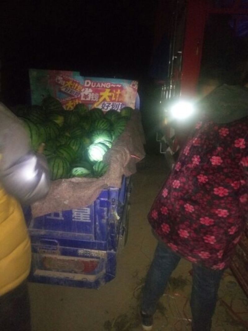 西瓜7斤打底8成熟1茬