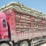 羊饲料羊草质量好价格实惠产地直发保证质量无土无膜