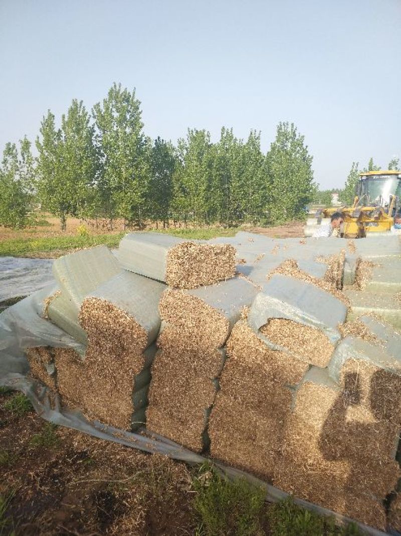 羊饲料羊草质量好价格实惠产地直发保证质量无土无膜