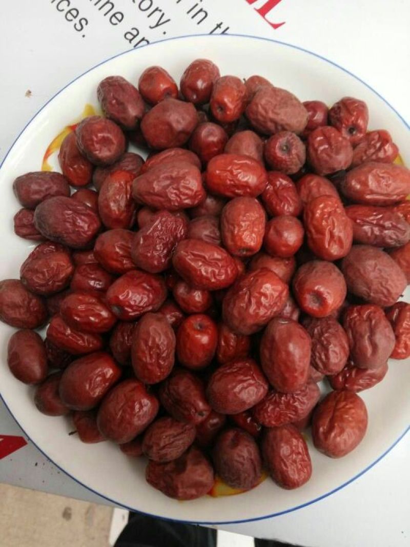 山东乐陵金丝小枣，大量上市，质量保证可视频看货欢迎订购