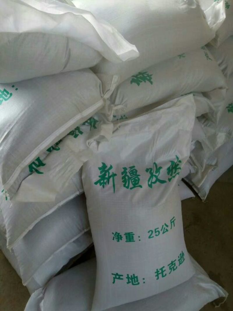 孜然新疆孜然，新疆小茴香
