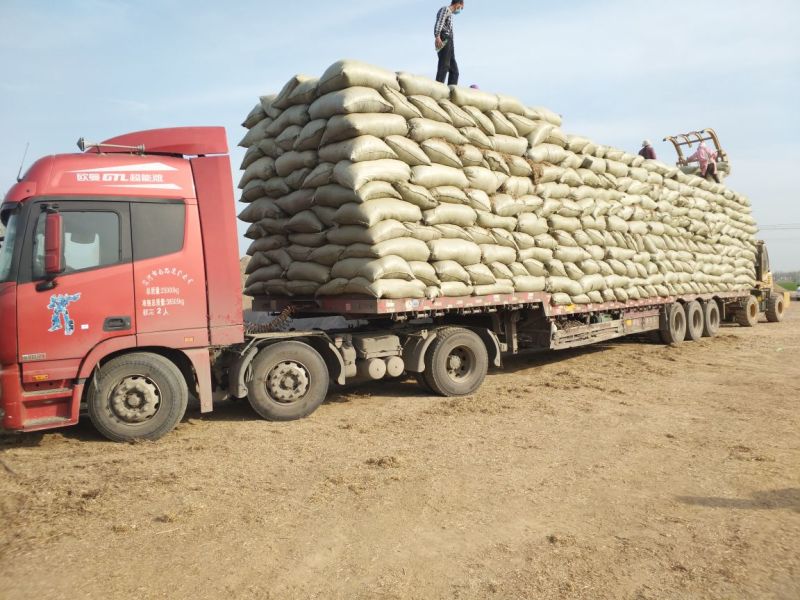 18个月优质花生质量好价格实惠，保证质量无土无膜