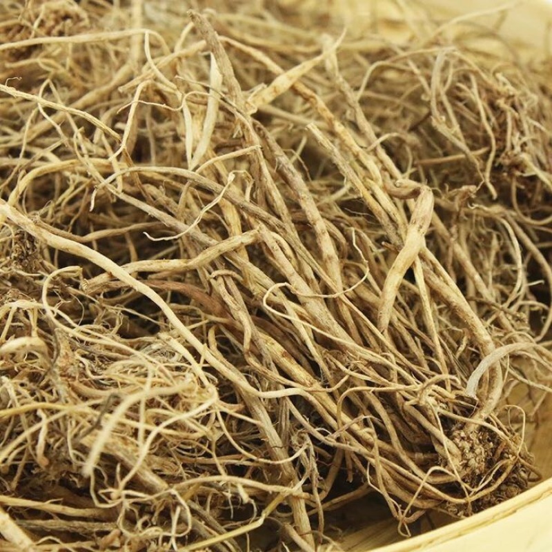 地参千针万线草，胖参