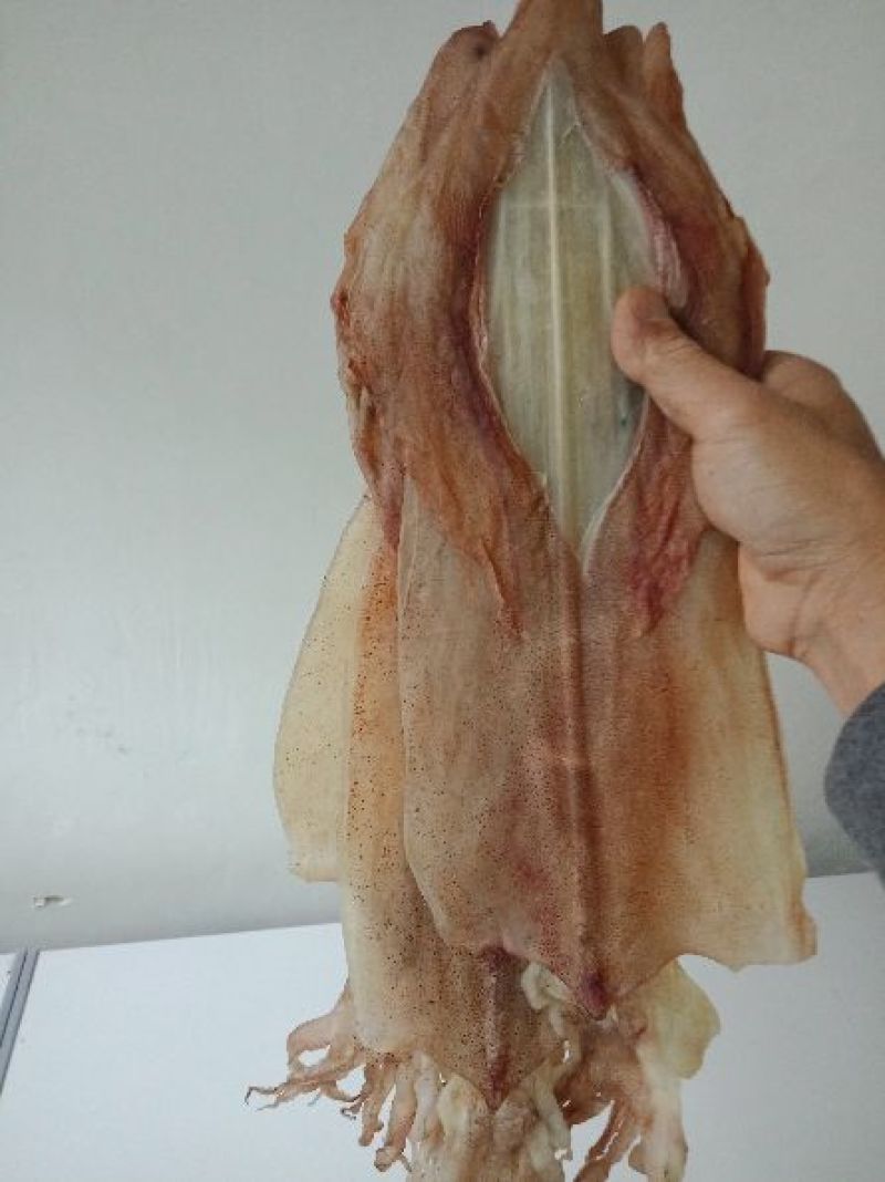 鱿鱼手钓鱿鱼干，南澳本港