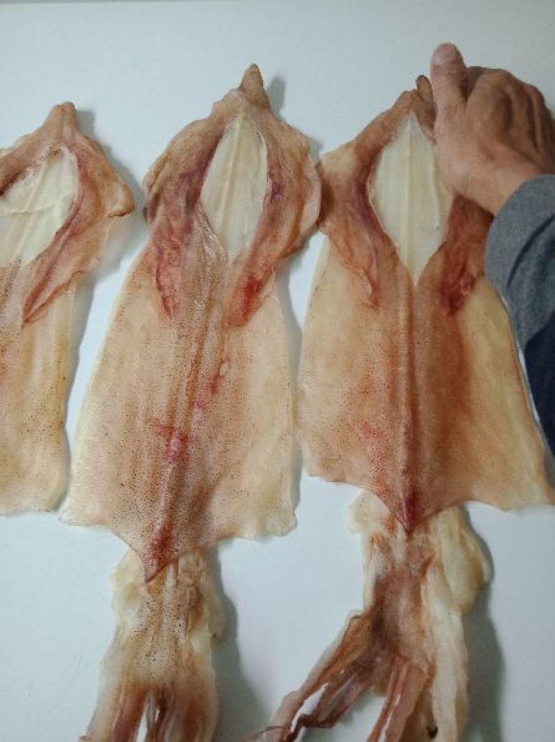 鱿鱼手钓鱿鱼干，南澳本港