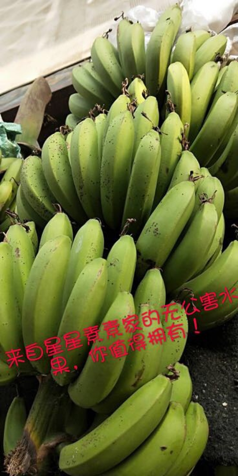 香蕉七成熟