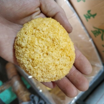 丑耳特级