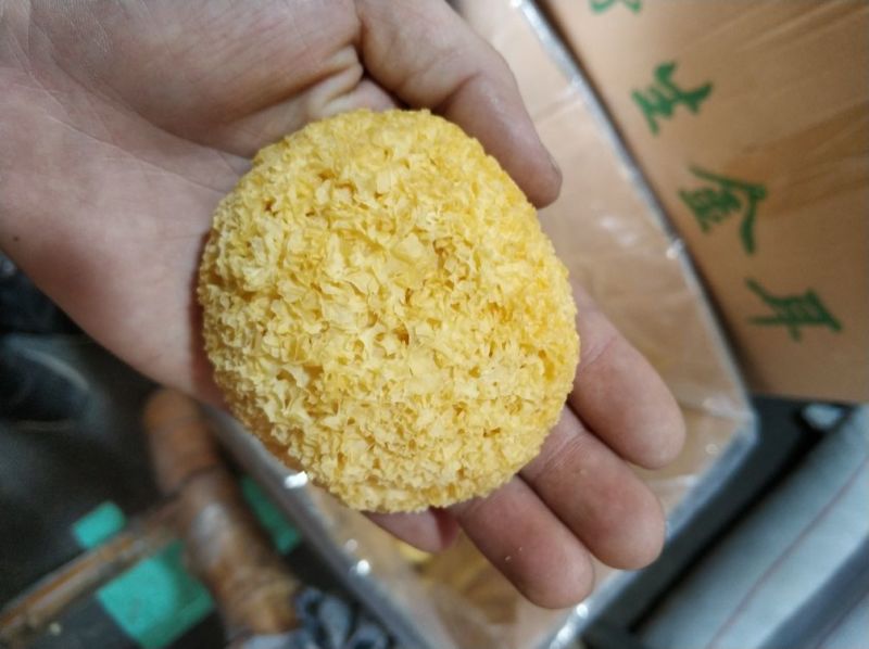 丑耳特级