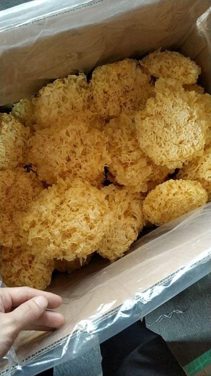 银耳一级