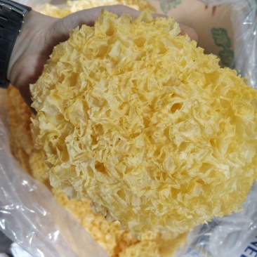 银耳一级