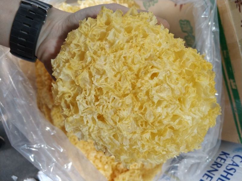 银耳一级