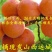 金太阳杏45mm以上