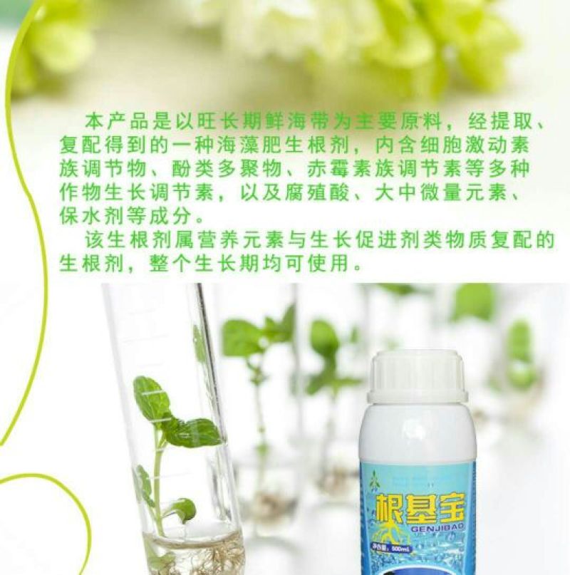 潍坊奥丰海藻生根剂根基宝蔬菜果树生根壮根促进生长扎根
