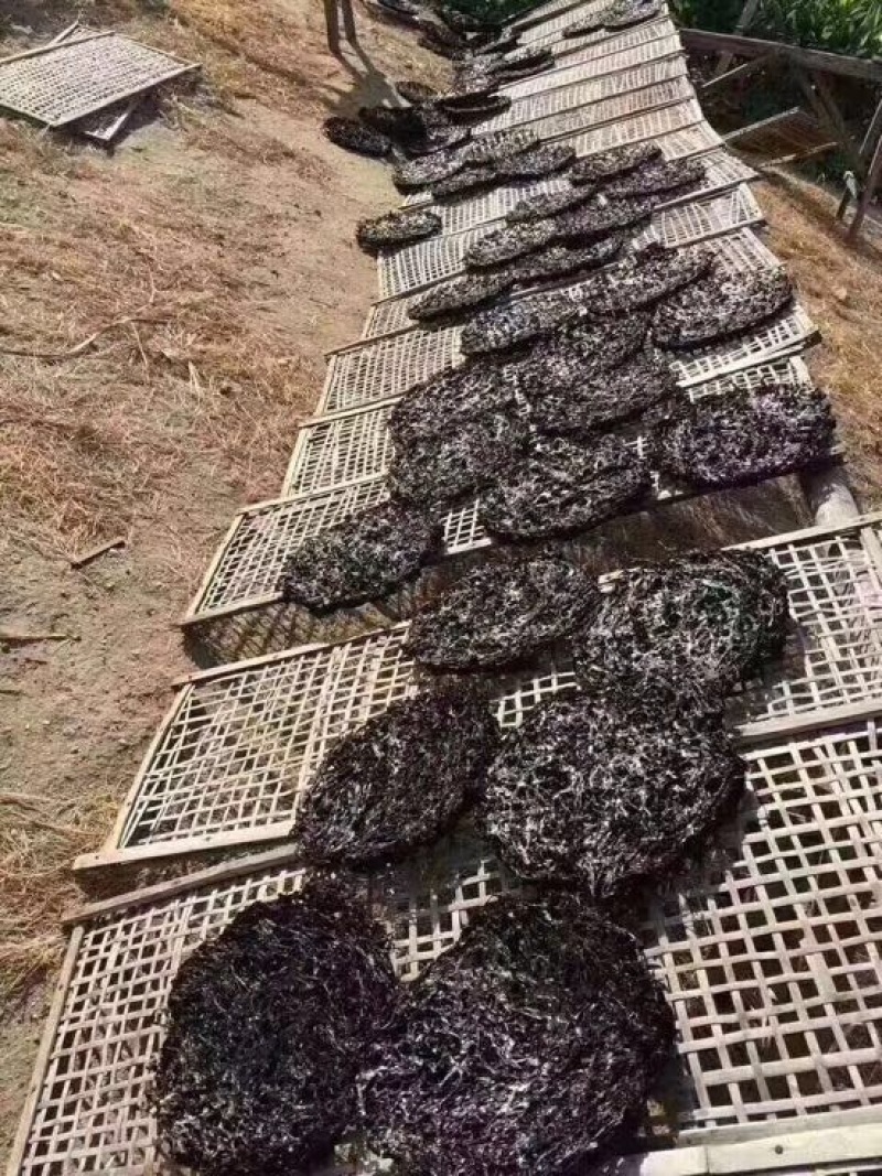 【包邮】紫菜紫菜蛋花汤支持一件代发