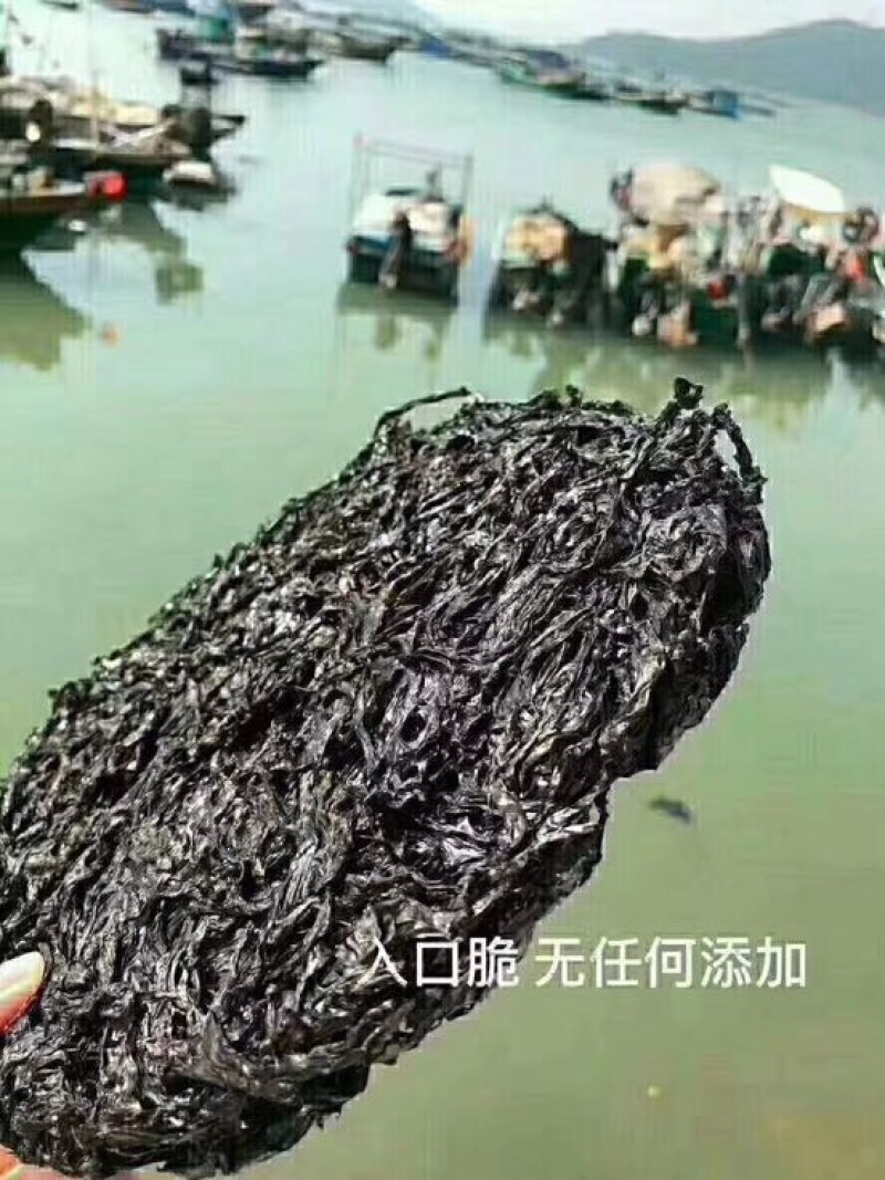 【包邮】紫菜紫菜蛋花汤支持一件代发