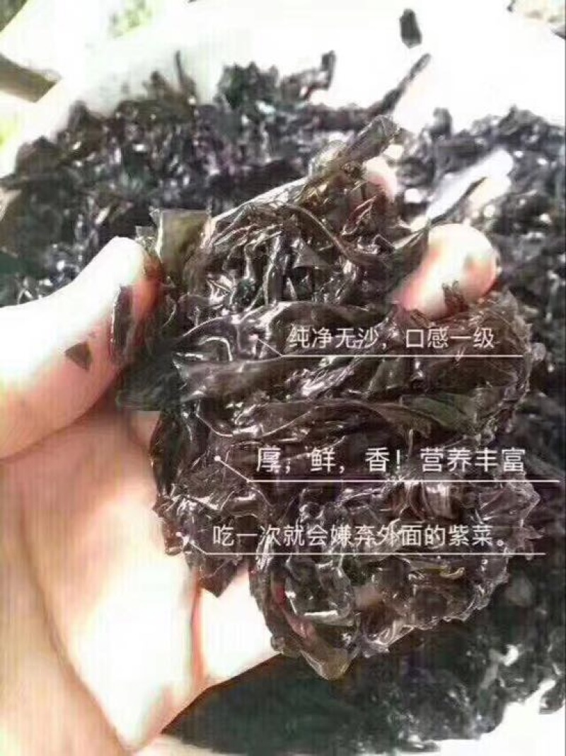 【包邮】紫菜紫菜蛋花汤支持一件代发