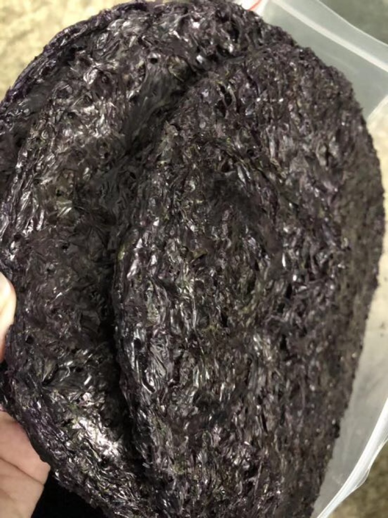 【包邮】紫菜紫菜蛋花汤支持一件代发