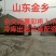 金乡红帽蒜薹质优价廉一手货源随到随装冷库打冷货耐运输耐储存