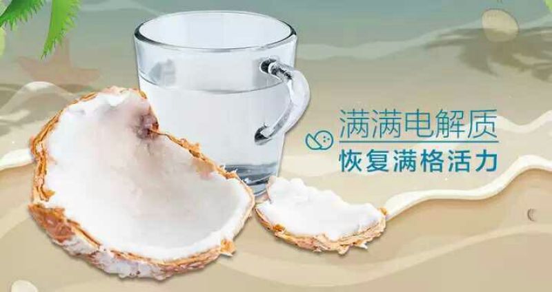 椰青2~3.5斤一个承接一件代发批量整车超商相关业务