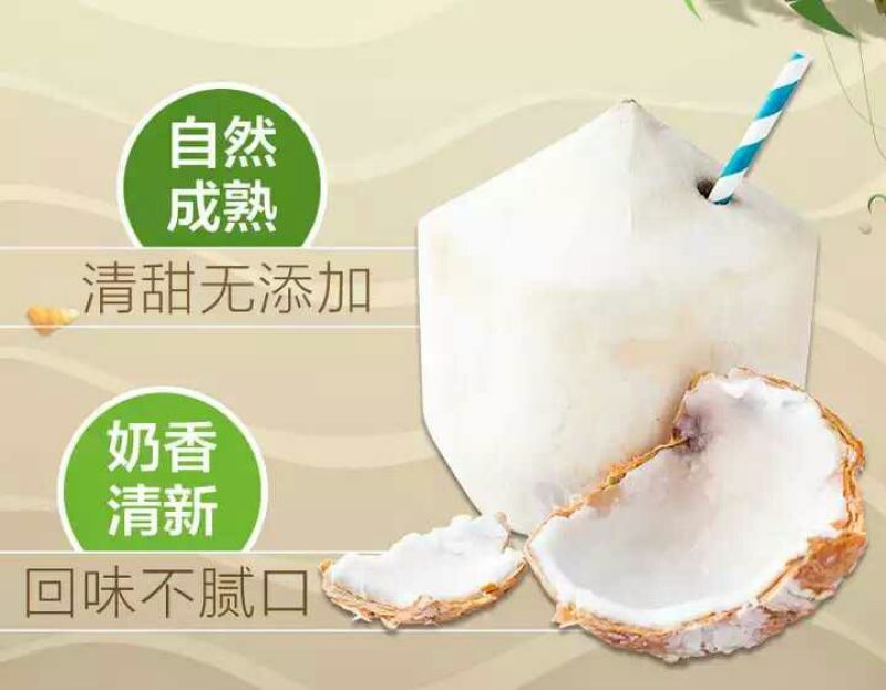 椰青2~3.5斤一个承接一件代发批量整车超商相关业务