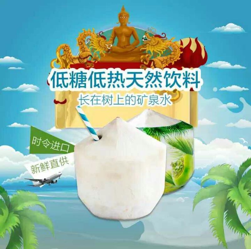 椰青2~3.5斤一个承接一件代发批量整车超商相关业务