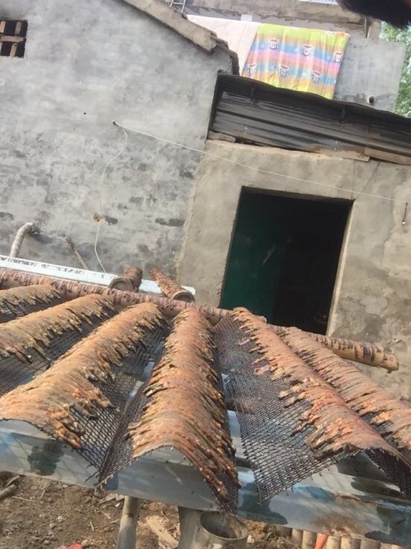 地龙全开
