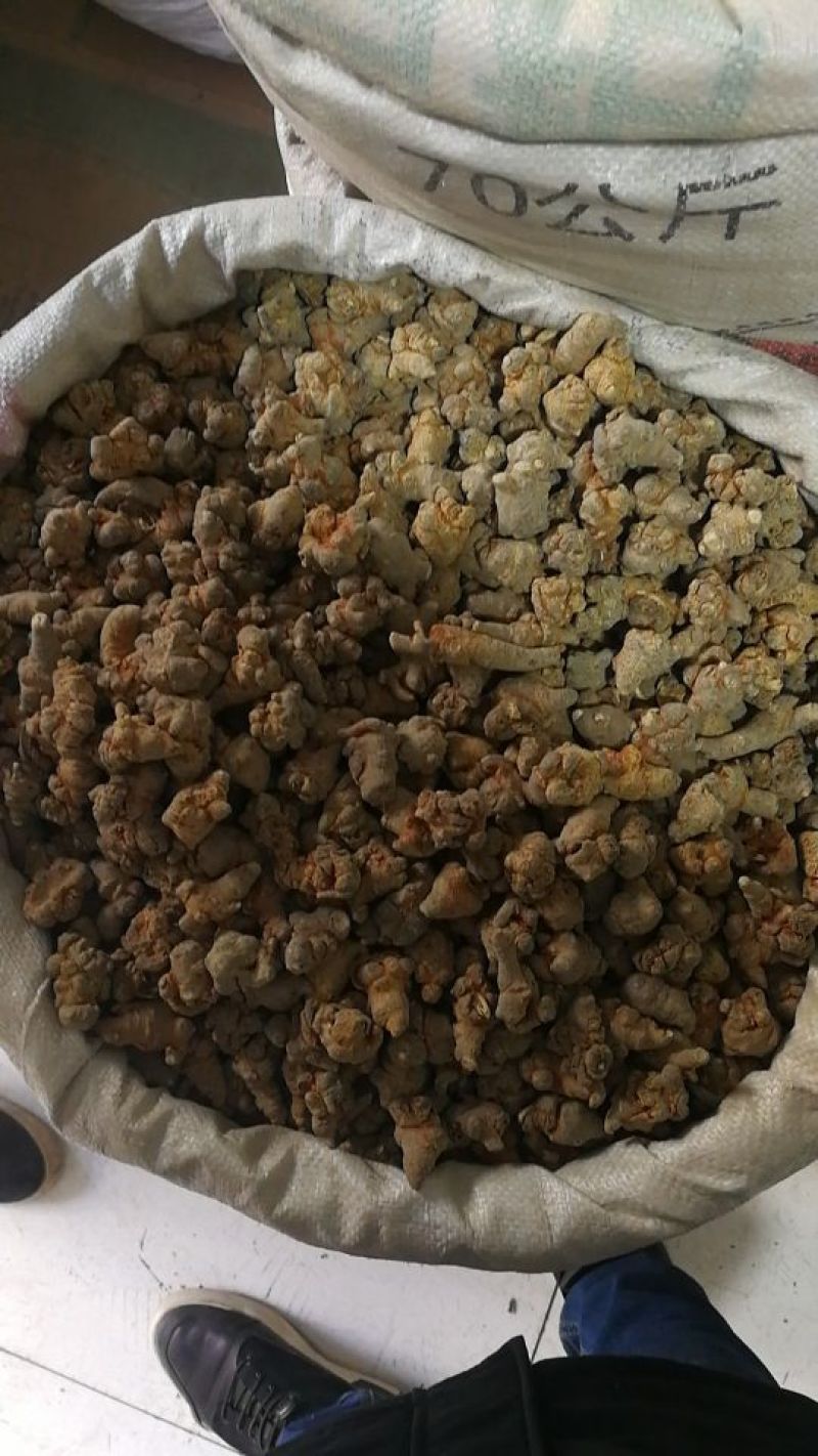 三七40头统货干货