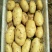 精品土豆🥔一手货源✔产地直供✔量大从优✔合作共赢✔