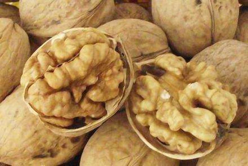 核桃30~35mm去皮干