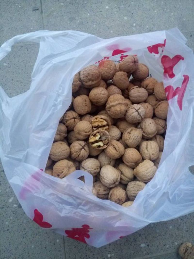 核桃30~35mm去皮干
