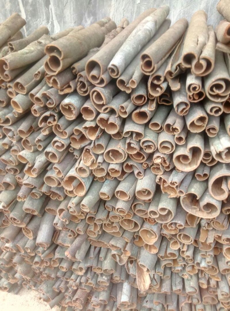 厚肉桂包装中通