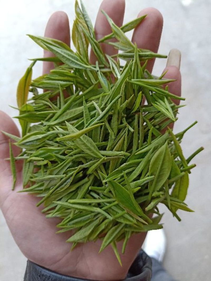 茶叶特级