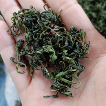 茶叶特级
