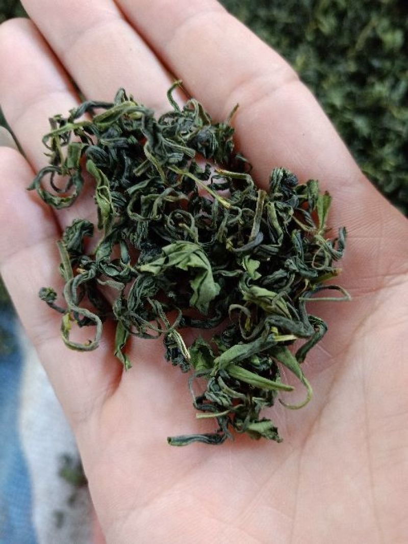 茶叶特级
