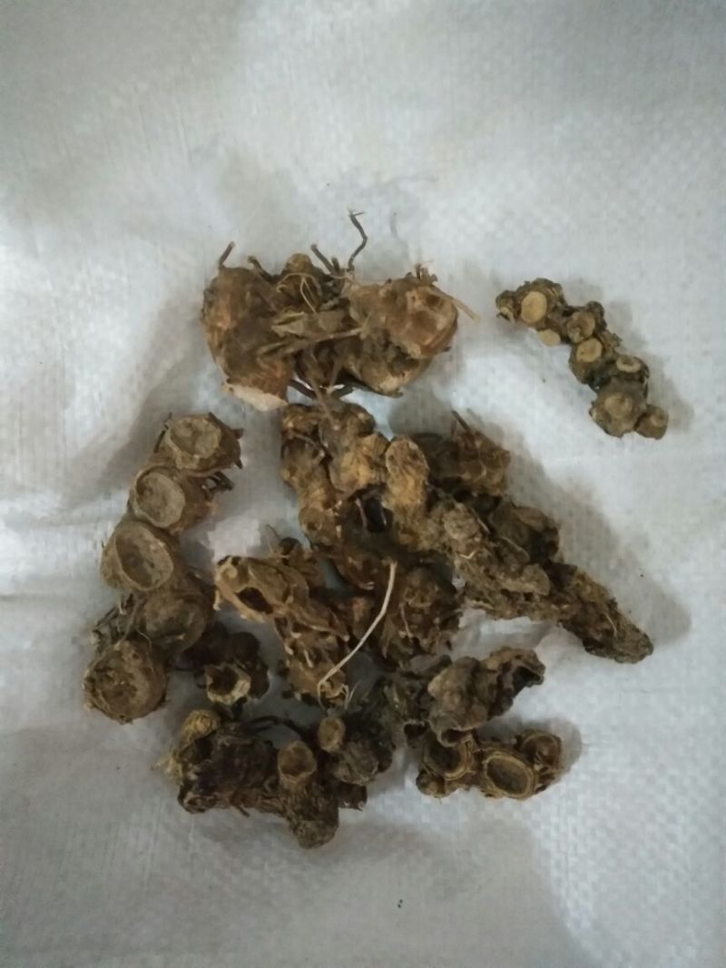 八角莲湖北1公斤起批无硫无添加不包邮正品