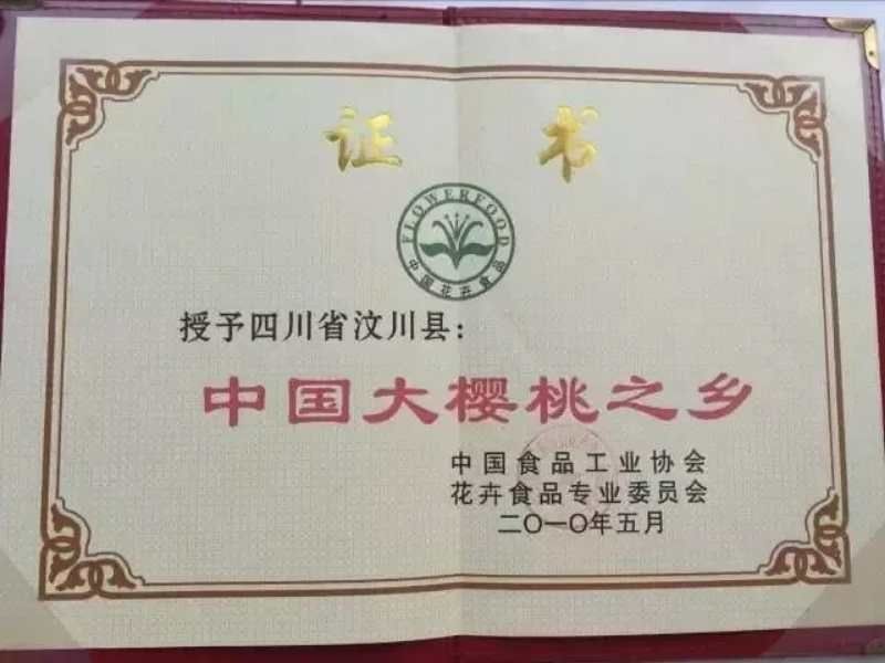 车厘子汶川车厘子甜樱桃新鲜水果