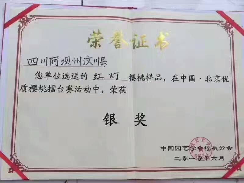 车厘子汶川车厘子甜樱桃新鲜水果