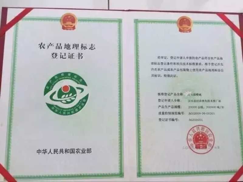 车厘子汶川车厘子甜樱桃新鲜水果