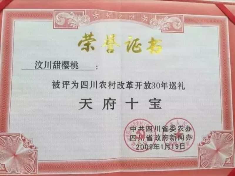 车厘子汶川车厘子甜樱桃新鲜水果