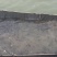 鳜鱼鱼苗3~5cm