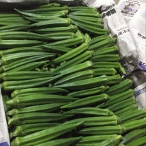 黄秋葵8~10cm