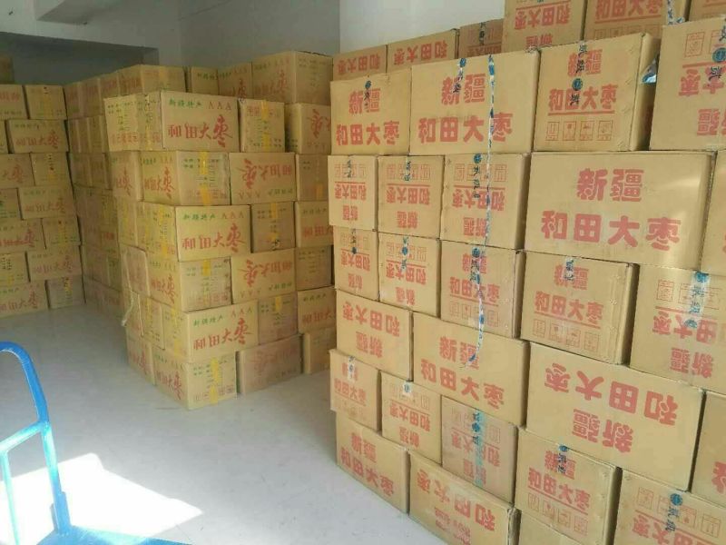直供电商平台新疆干红大枣干枣厂家直销量大从优