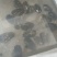 河蚌