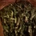 刺嫩芽有货东北山野菜，