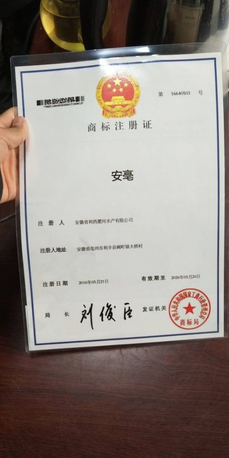 金丝皇菊茶一级