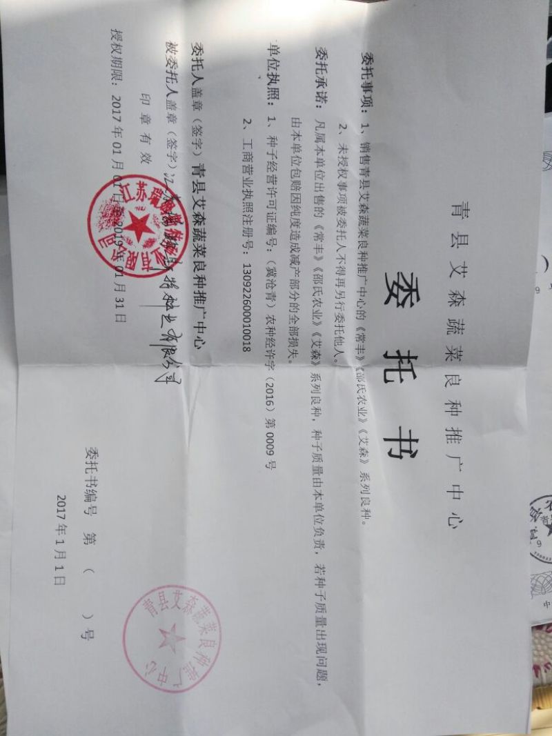 日本钢葱种子97%以上
