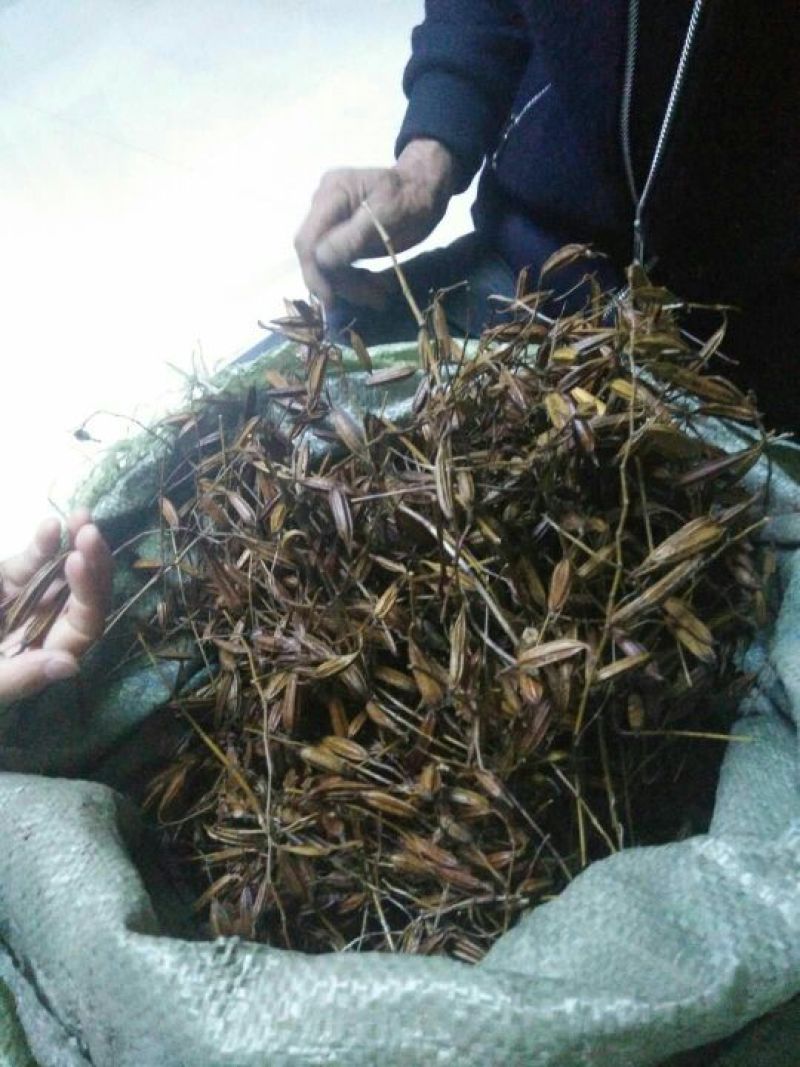 白芨果夹湖北半野生干货不包邮现货