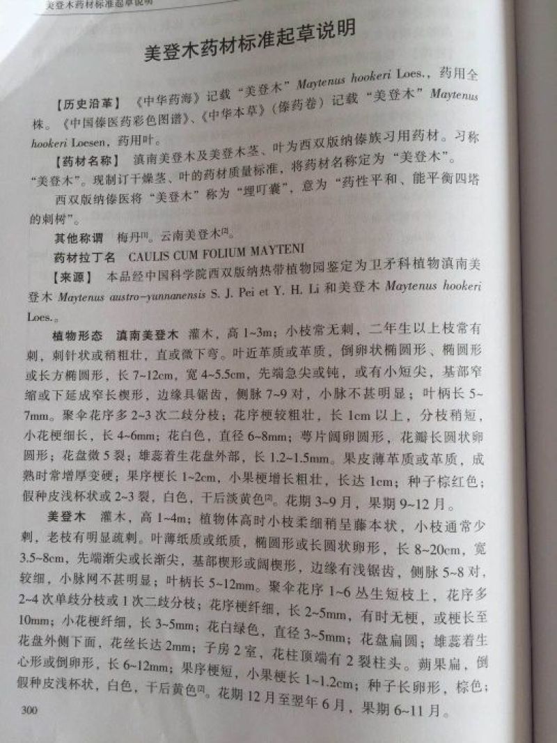 云南美登木统货